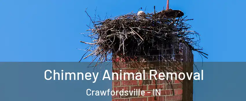  Chimney Animal Removal Crawfordsville - IN