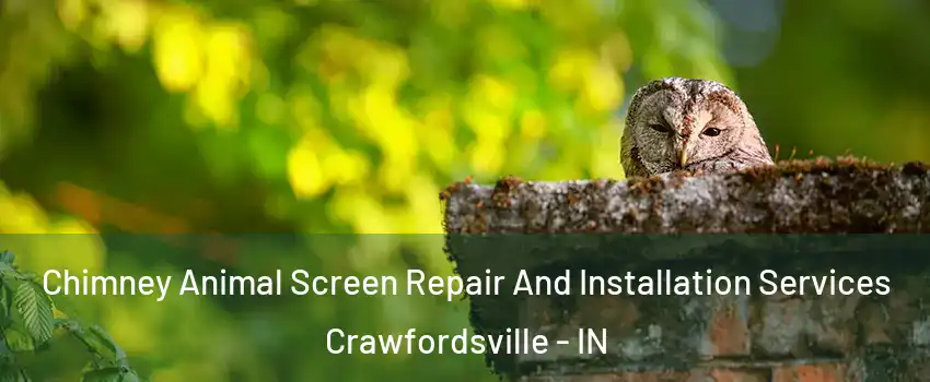 Chimney Animal Screen Repair And Installation Services Crawfordsville - IN