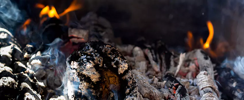 Creosote Removal Experts in Crawfordsville, IN